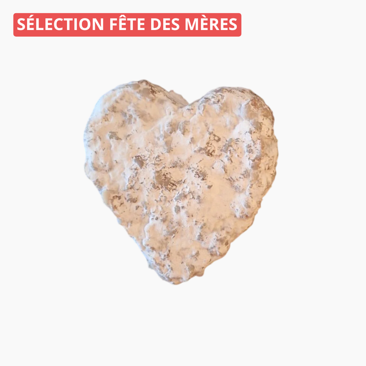 Pavé cœur nature avec coffret (80g) - Le monde du saucisson