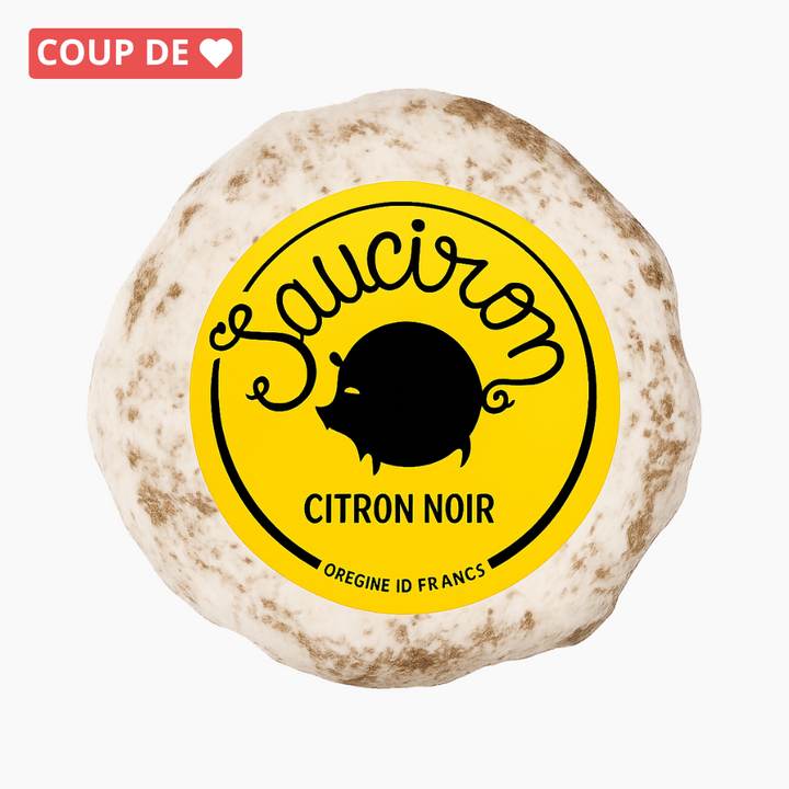 Wurst mit 5 Käsesorten (Form einer Karte von Frankreich) 