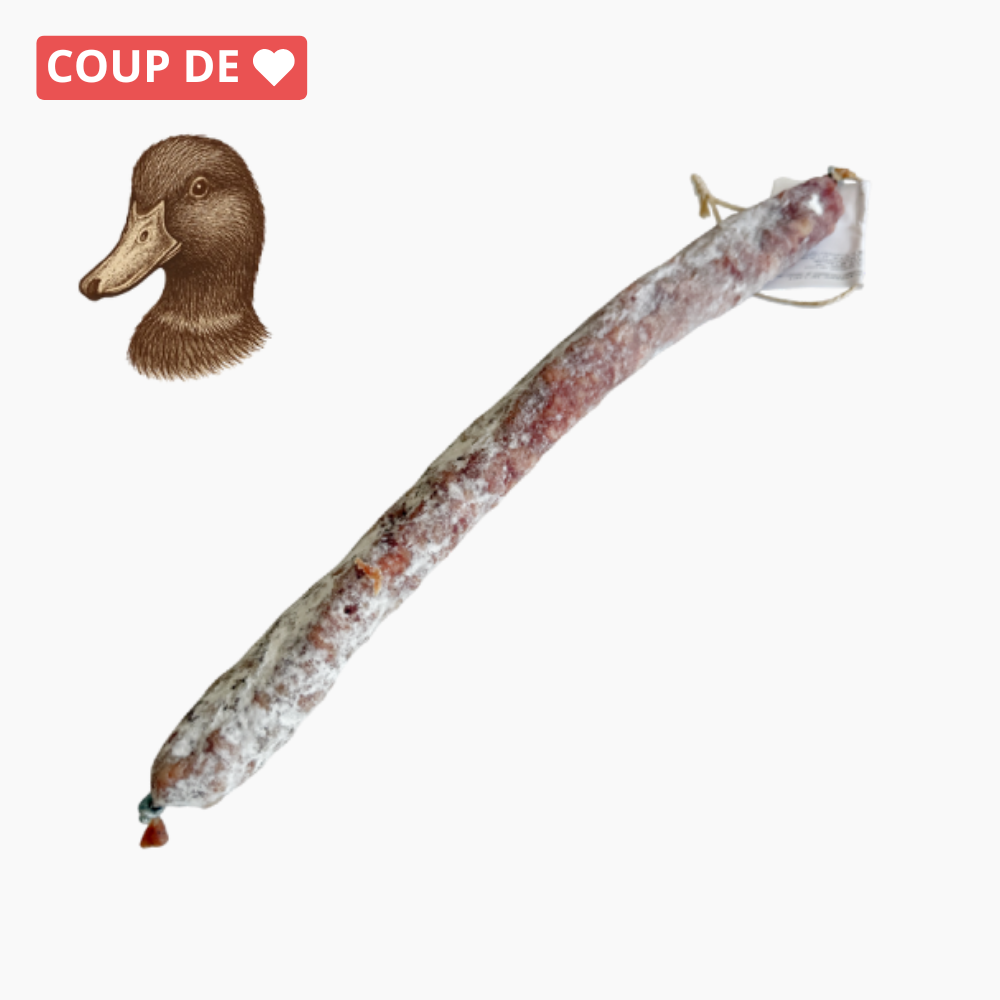 Fuet au canard (100g) - Le monde du saucisson