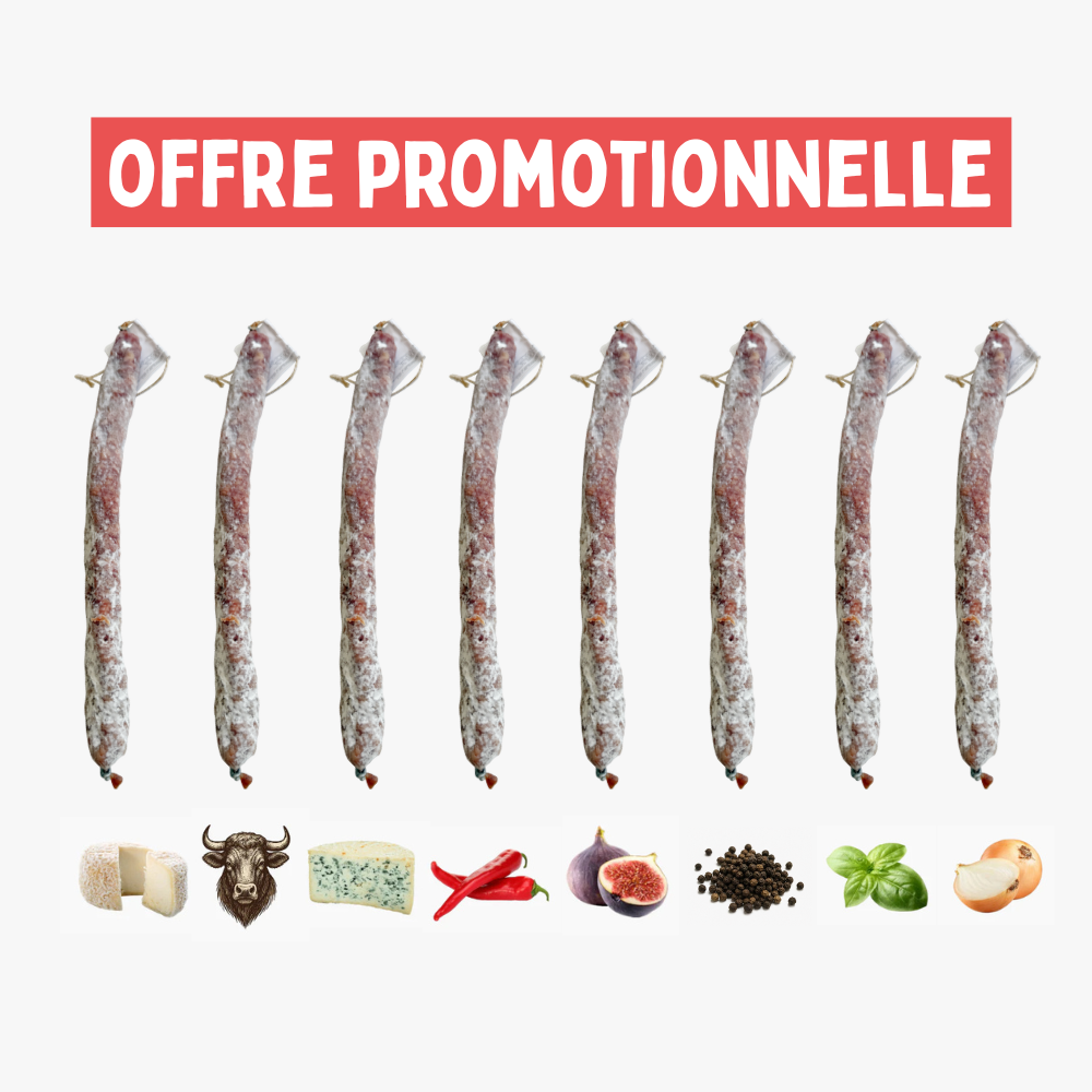 Lot de 8 fuets