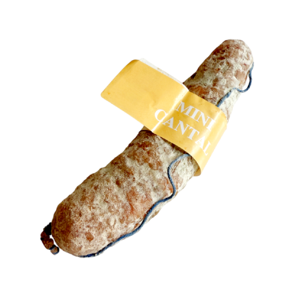 Saucisson au cantal (115g) - Le monde du saucisson